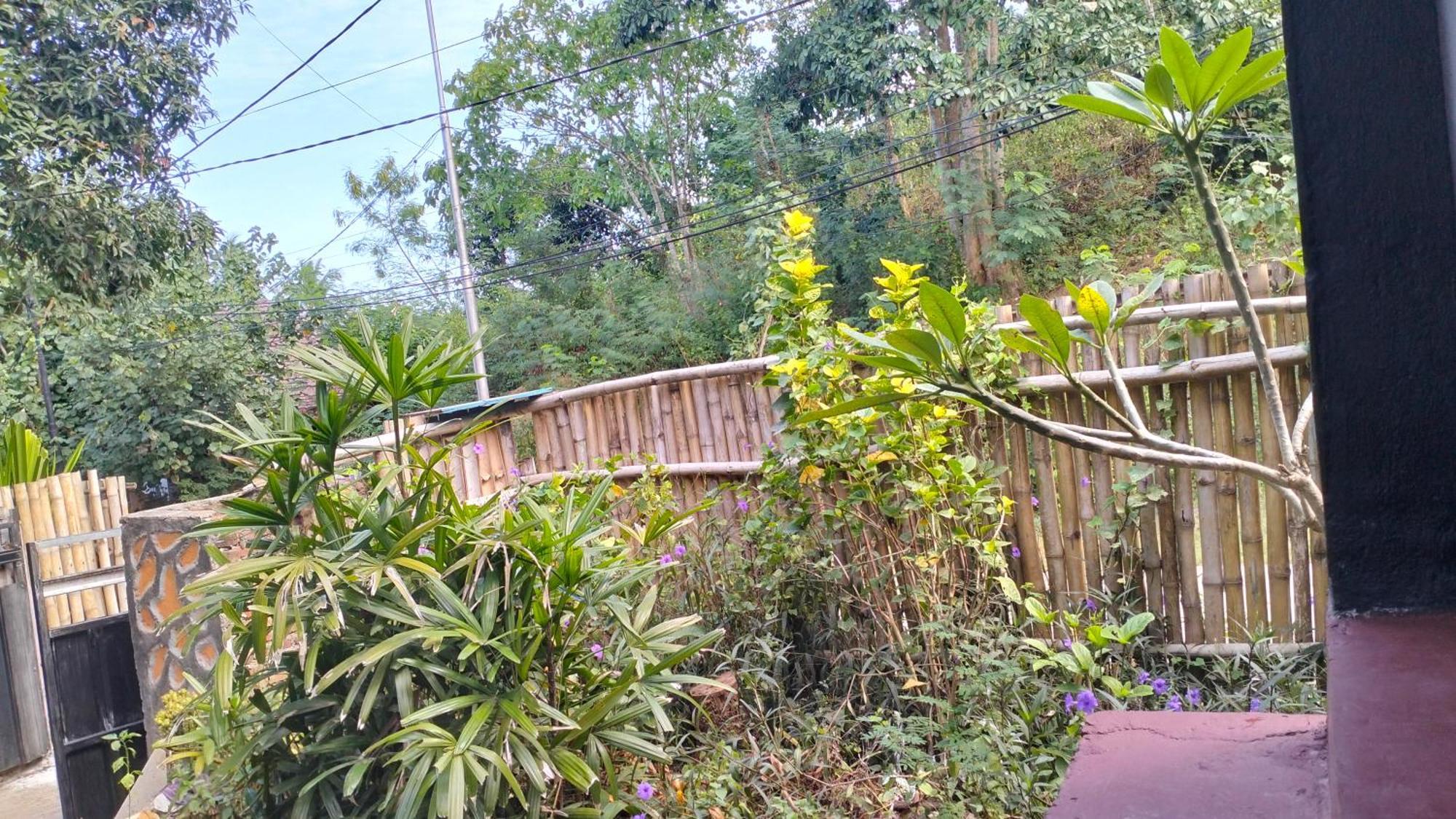 Palm Homestay Kuta Kuta  外观 照片