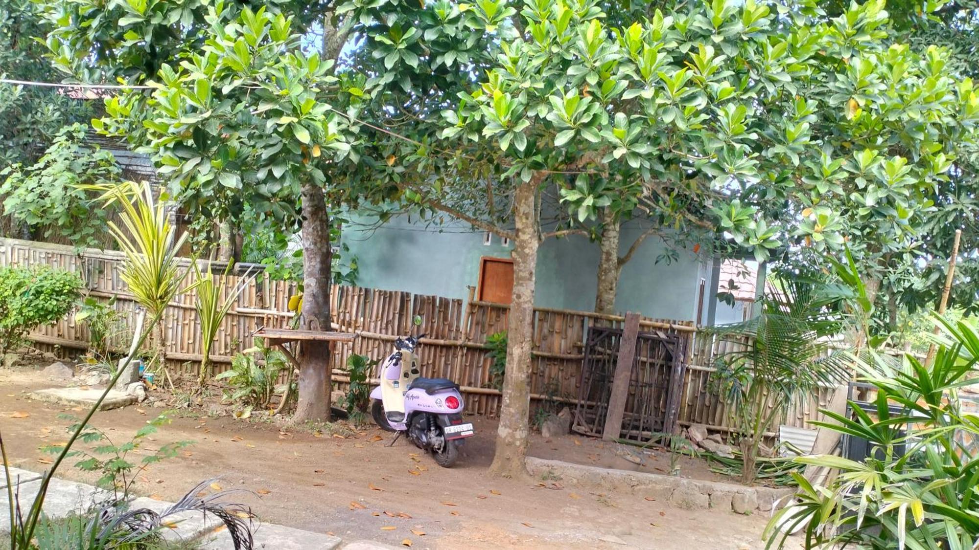 Palm Homestay Kuta Kuta  外观 照片