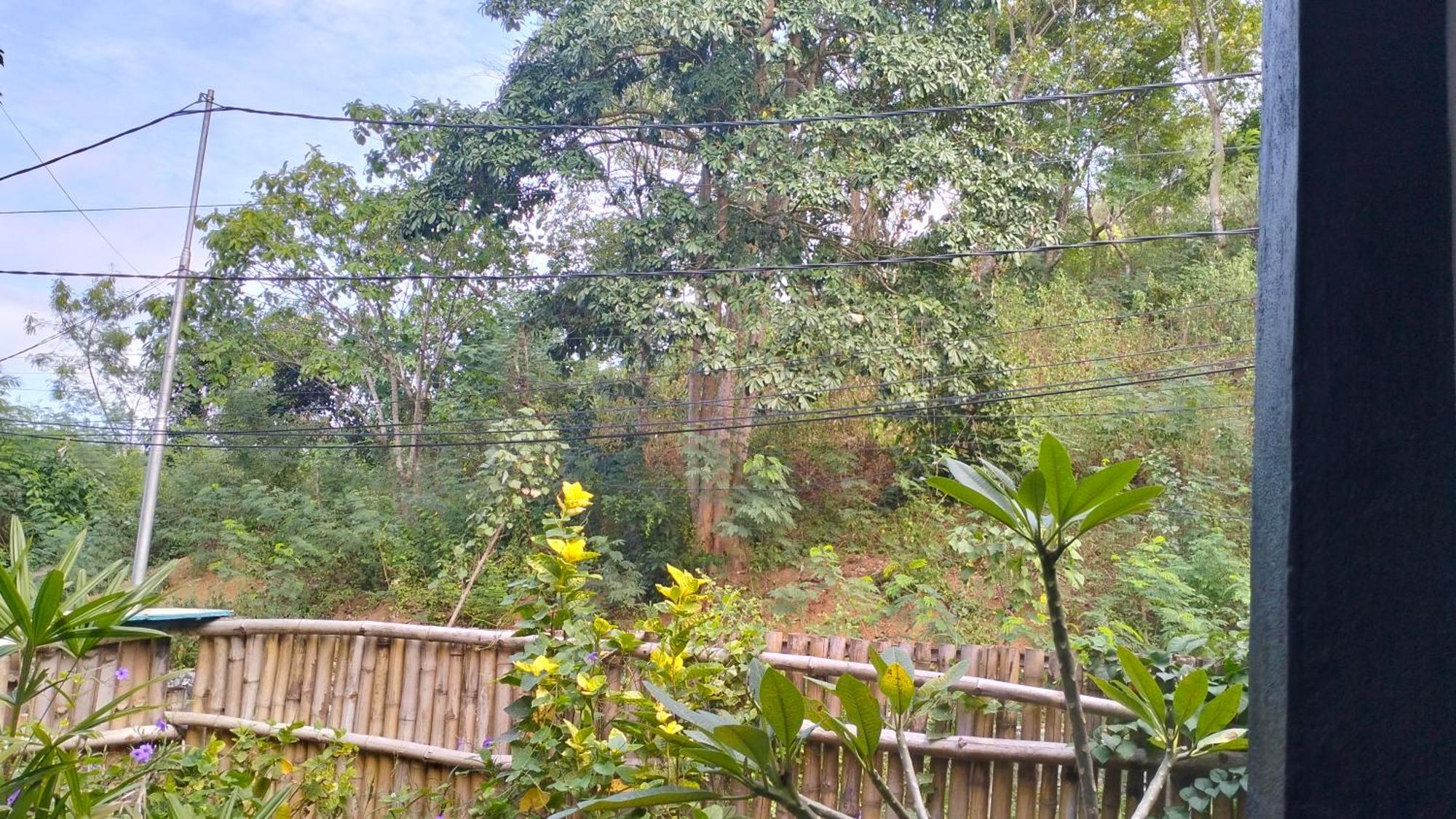 Palm Homestay Kuta Kuta  外观 照片