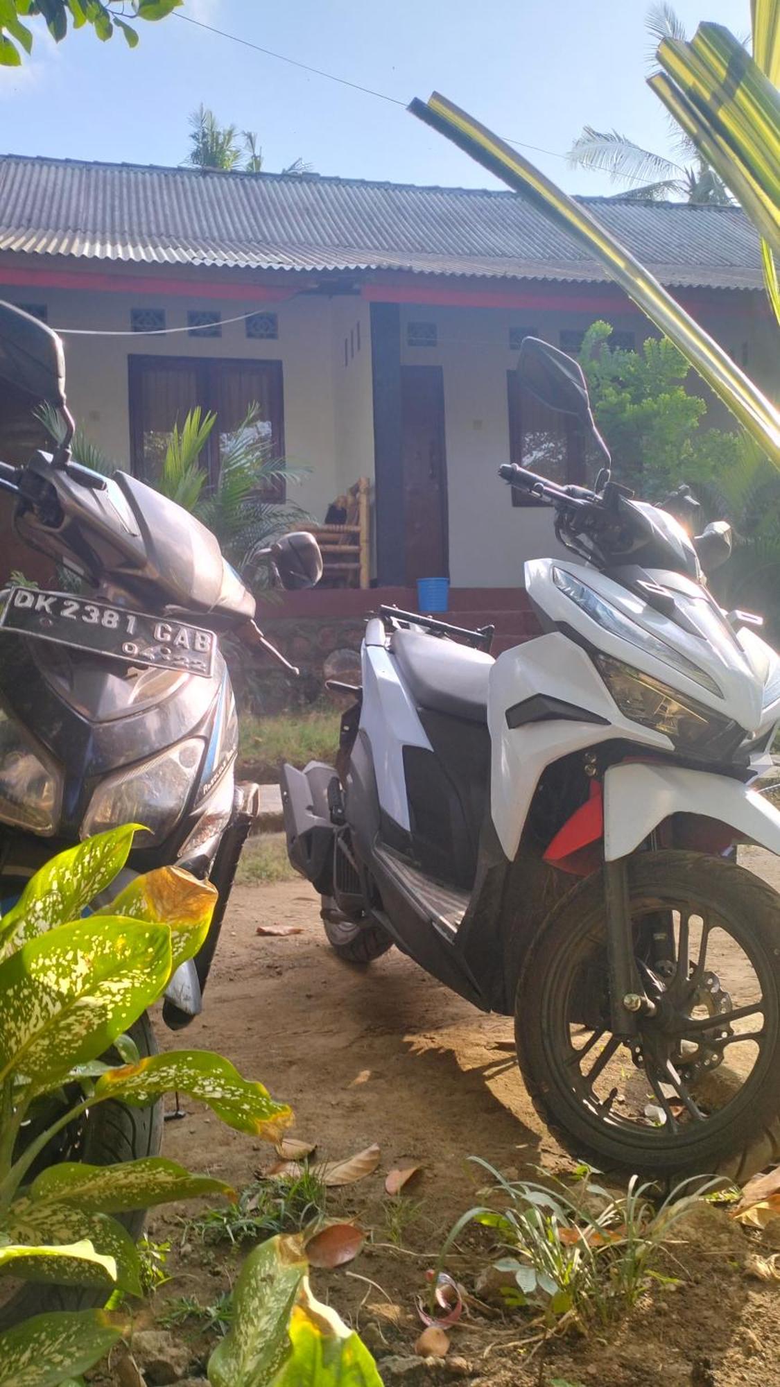 Palm Homestay Kuta Kuta  外观 照片