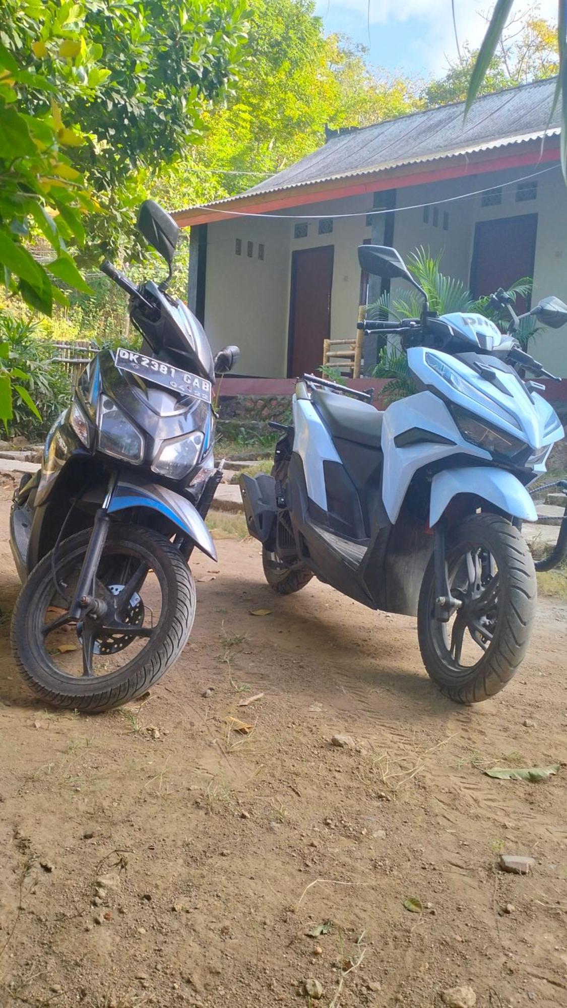 Palm Homestay Kuta Kuta  外观 照片