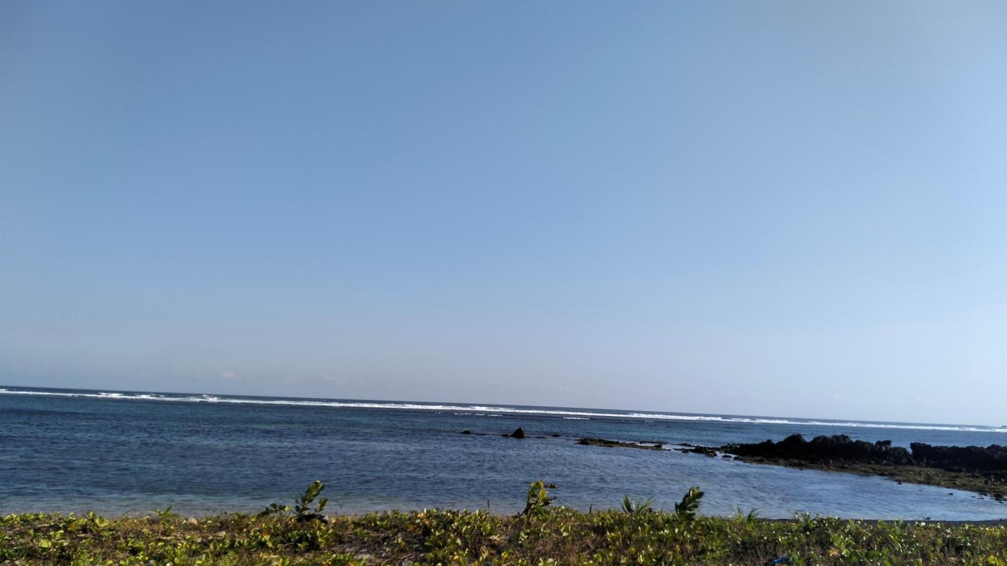 Palm Homestay Kuta Kuta  外观 照片